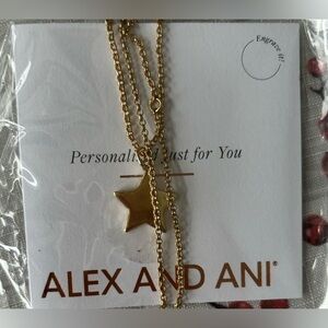 New‎ Alex & Ani New Gold Star necklace